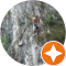 Wouter v. Avatar